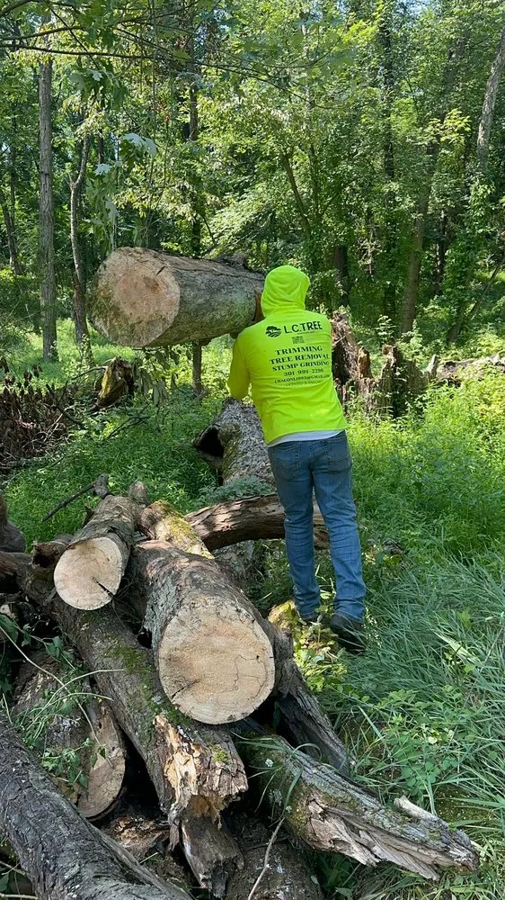 Custom lawn mowing service in Hagerstown, MD by LC Tree Service