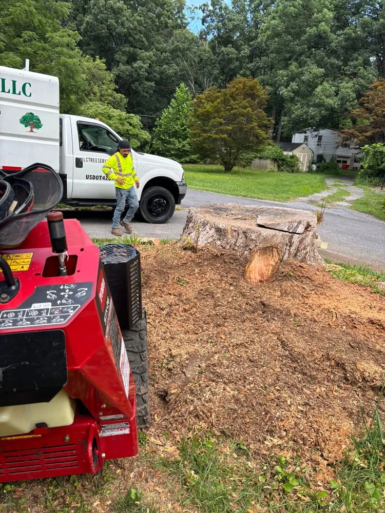 Custom landscape installation with custom design in Hagerstown, MD by LC Tree Service