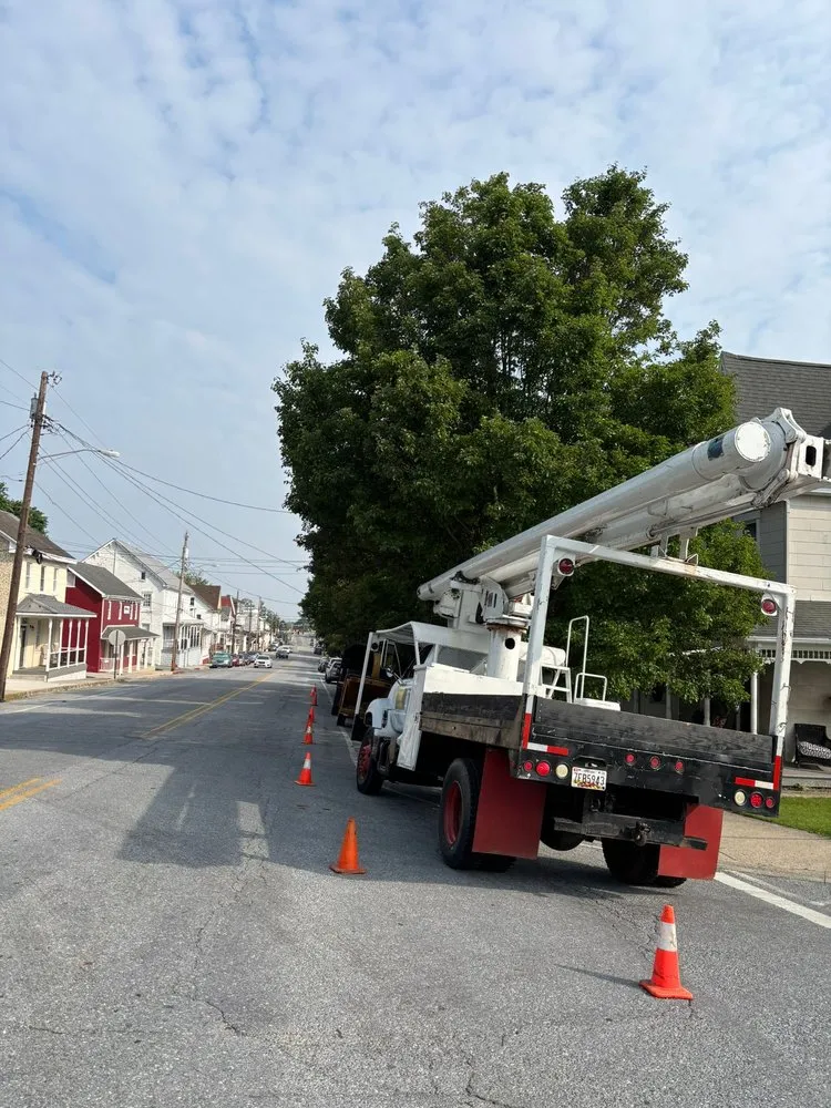 Expert lawn mowing service for outdoor upgrades in Hagerstown, MD by LC Tree Service