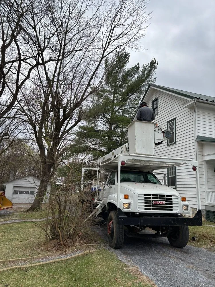 Professional lawn care service for outdoor upgrades across Hagerstown, MD - LC Tree Service