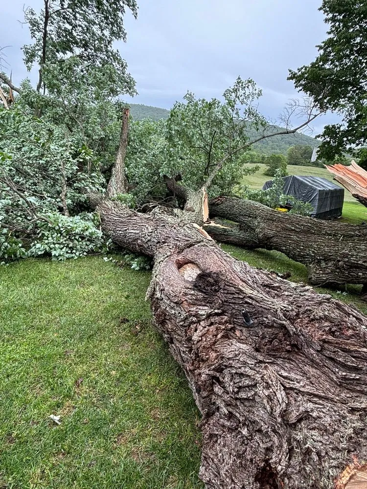 Expert garden landscaping experts serving Hagerstown, MD - LC Tree Service