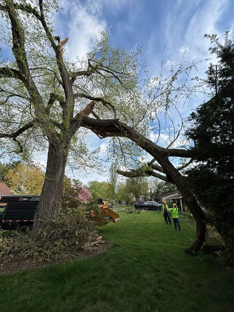 Custom outdoor landscaping near you in Hagerstown, MD by LC Tree Service