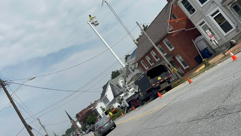 Expert yard cleanup service for year-round maintenance across Hagerstown, MD - LC Tree Service