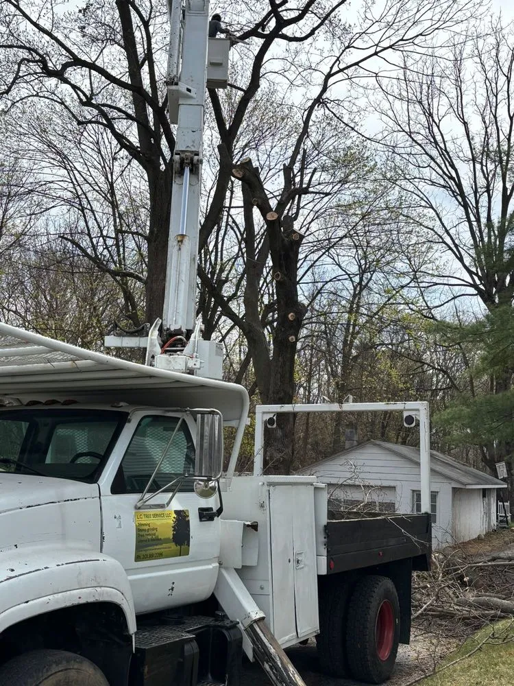 Reliable yard maintenance in Hagerstown, MD - LC Tree Service