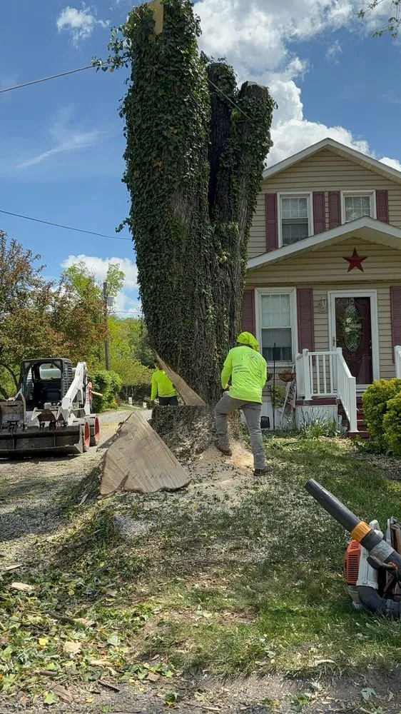 Custom landscape design in Hagerstown, MD by LC Tree Service