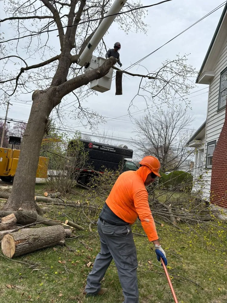 Top-rated lawn mowing service in Hagerstown, MD - LC Tree Service