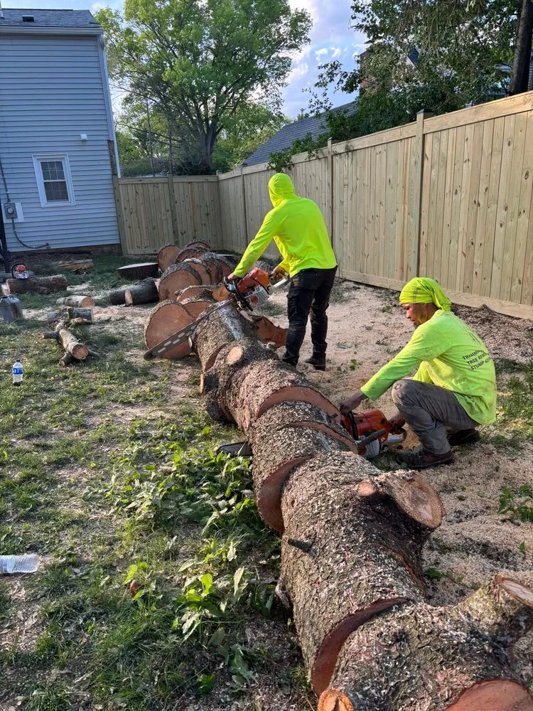 Reliable lawn care service for homes in Hagerstown, MD by LC Tree Service