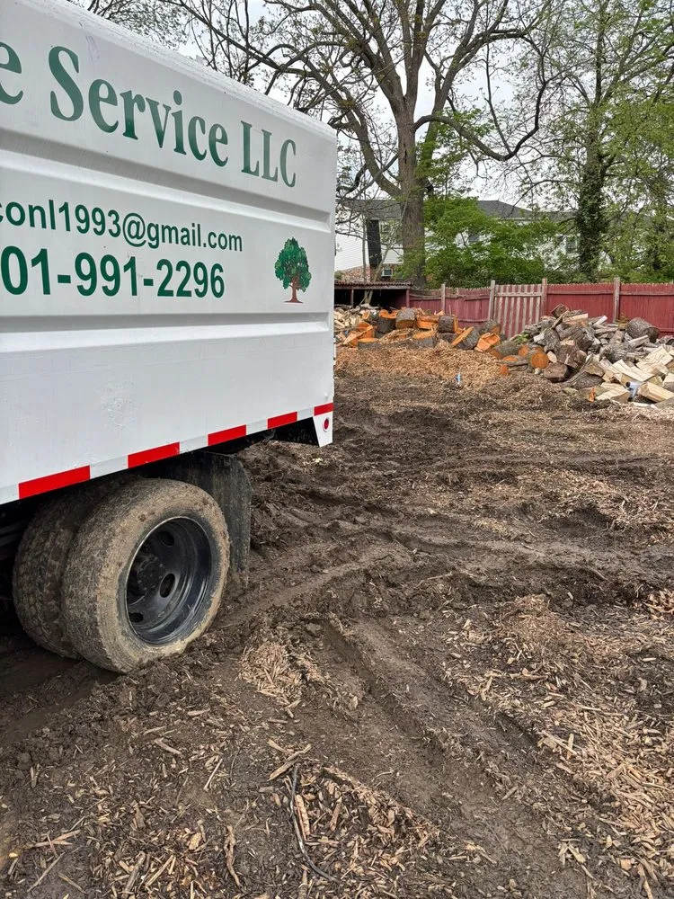 Custom yard cleanup service experts serving Hagerstown, MD - LC Tree Service