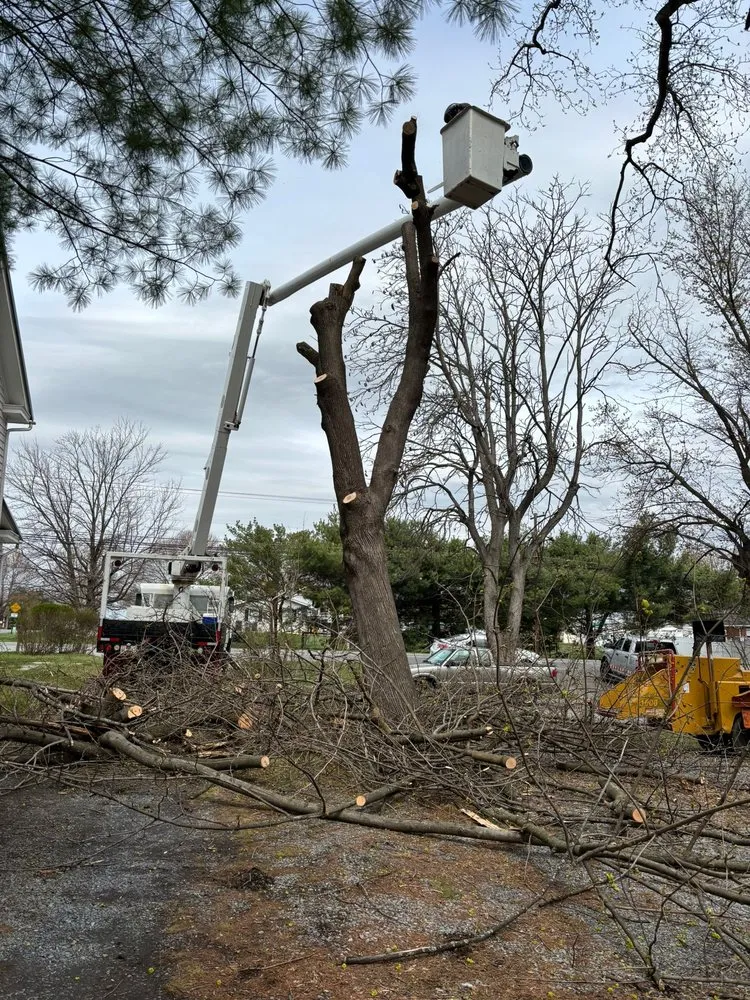 Professional landscaping services in Hagerstown, MD - LC Tree Service