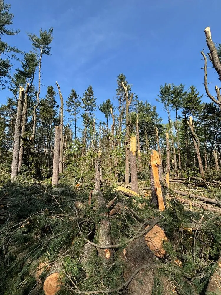 Expert residential landscaping for residential properties in Hagerstown, MD by LC Tree Service