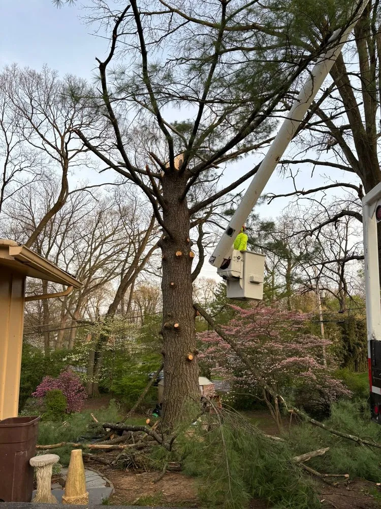 Reliable lawn care service in Hagerstown, MD by LC Tree Service