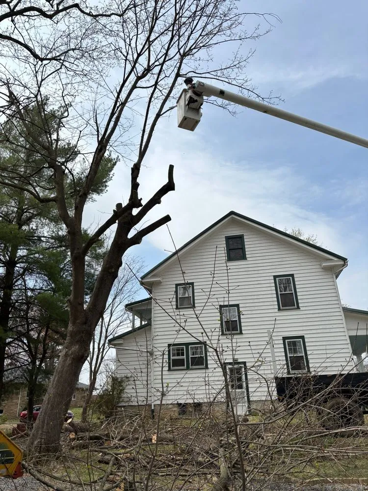 Affordable garden landscaping for year-round maintenance across Hagerstown, MD - LC Tree Service