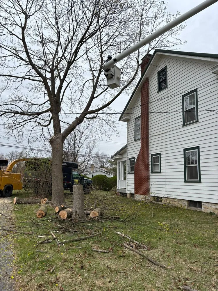 Professional residential landscaping experts serving Hagerstown, MD - LC Tree Service
