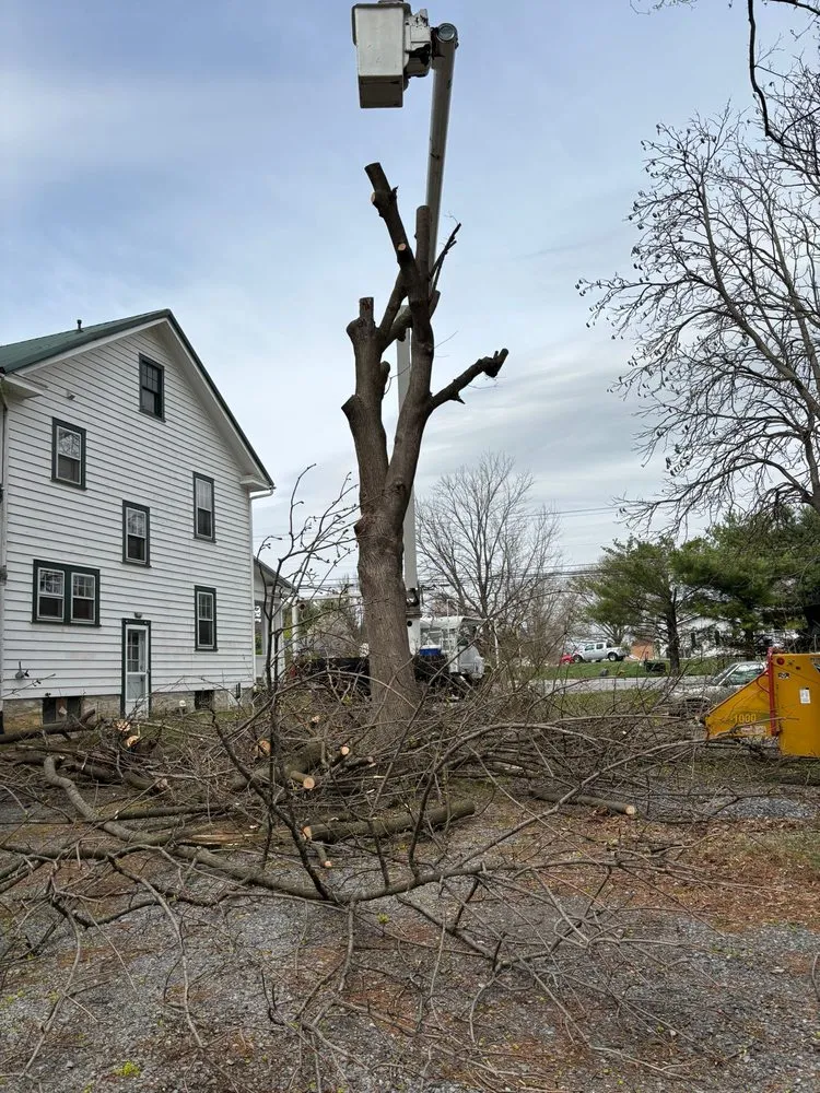 Affordable landscape installation in Hagerstown, MD by LC Tree Service