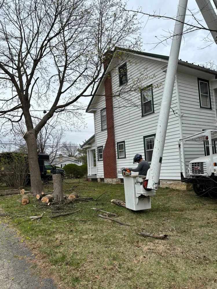 Expert outdoor landscaping in Hagerstown, MD by LC Tree Service
