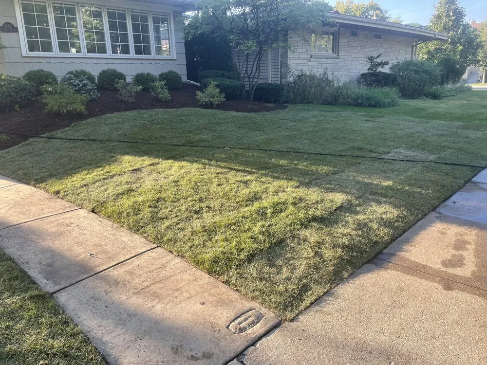 Reliable yard cleanup service experts serving Palatine, IL - LCA Landscaping & Stonework