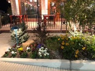 Professional yard cleanup service in Waxahachie, TX by Lcdi contracting