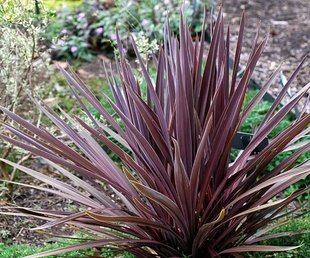 Local garden landscaping in Waxahachie, TX by Lcdi contracting