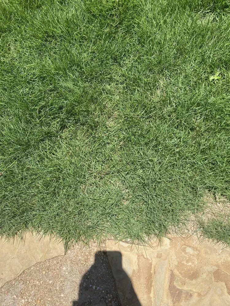 Local landscape installation for beautiful yards in Houston, TX by LCE Landscaping and Design