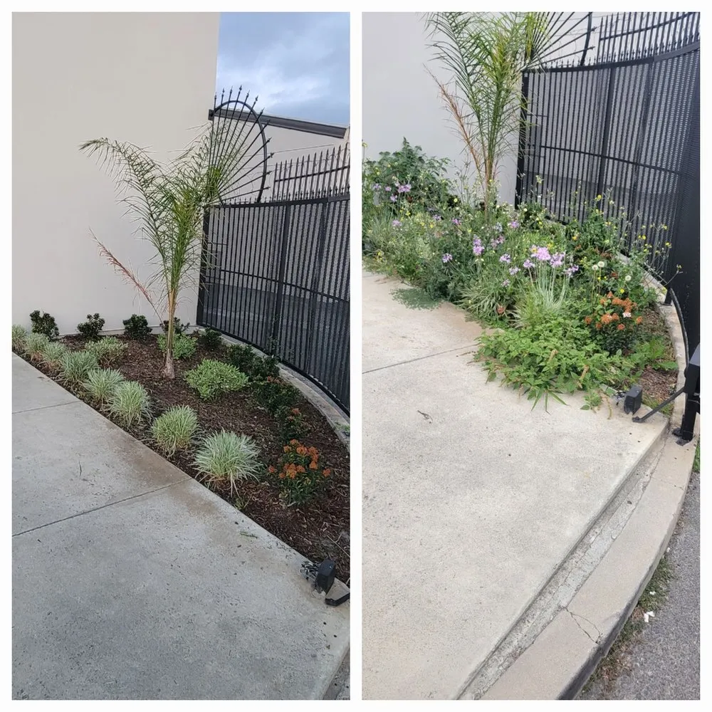 Reliable outdoor landscaping for outdoor upgrades in Perris, CA by LCG Green Landscaping