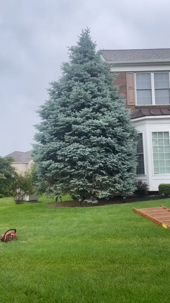 Reliable outdoor landscaping with custom design across Douglassville, PA - LCG Landscaping