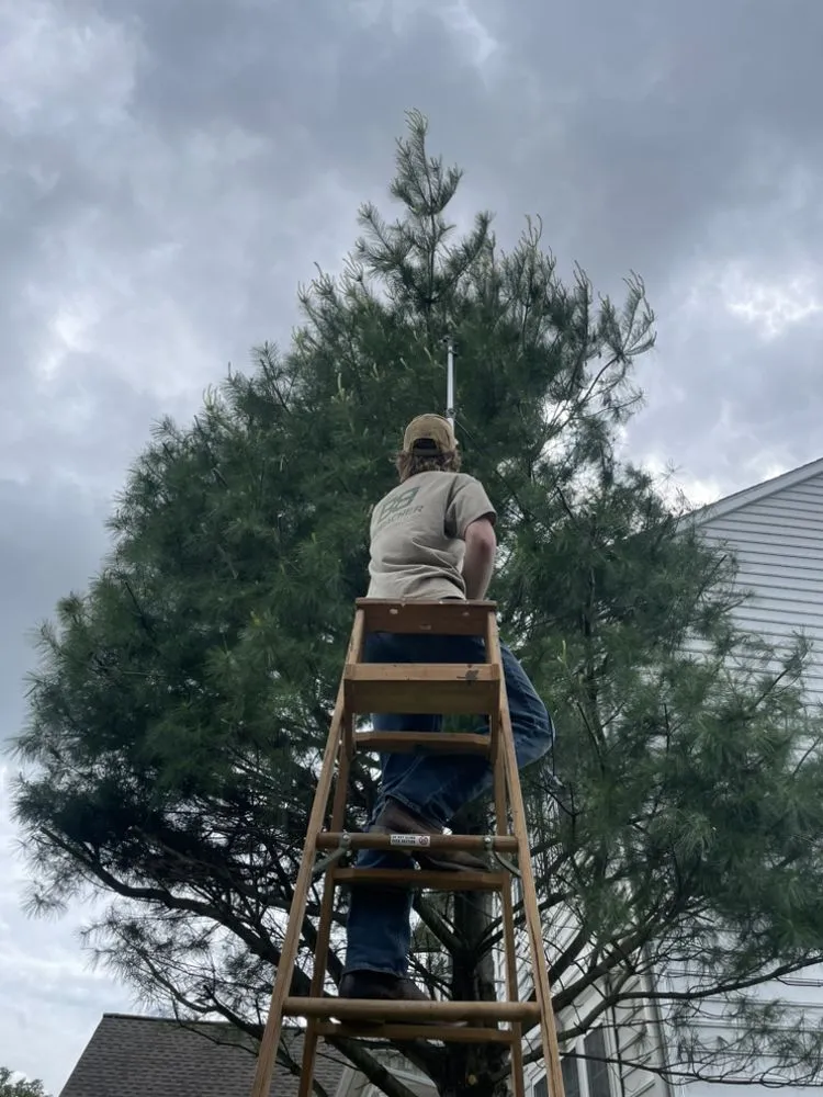 Expert yard maintenance experts serving Douglassville, PA - LCG Landscaping