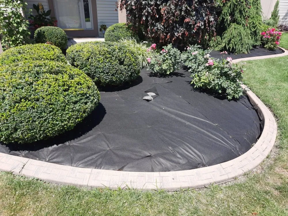 Reliable lawn mowing service near you in Holland, OH by lcl Landscape