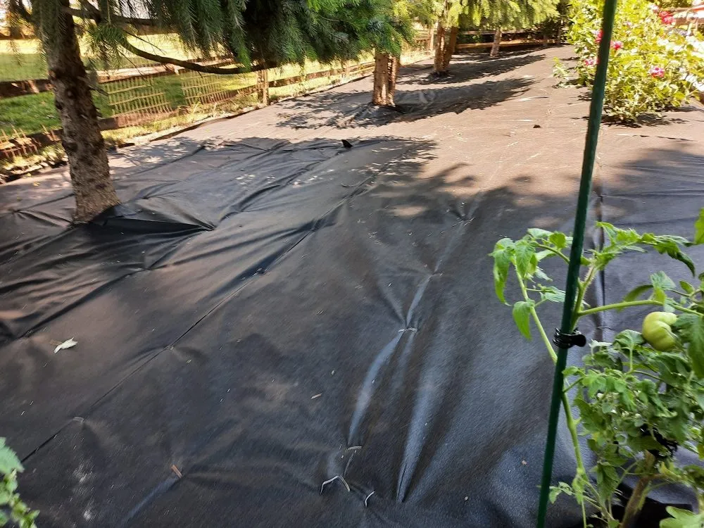 Professional landscaping services with custom design across Holland, OH - lcl Landscape