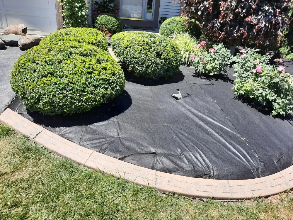 Professional landscape design for homes across Holland, OH - lcl Landscape