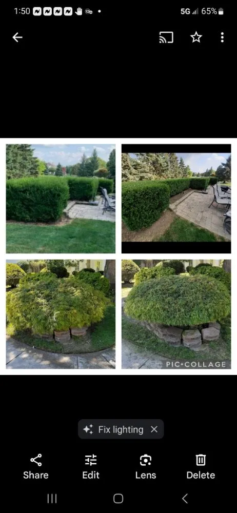 Affordable garden landscaping experts serving Holland, OH - lcl Landscape