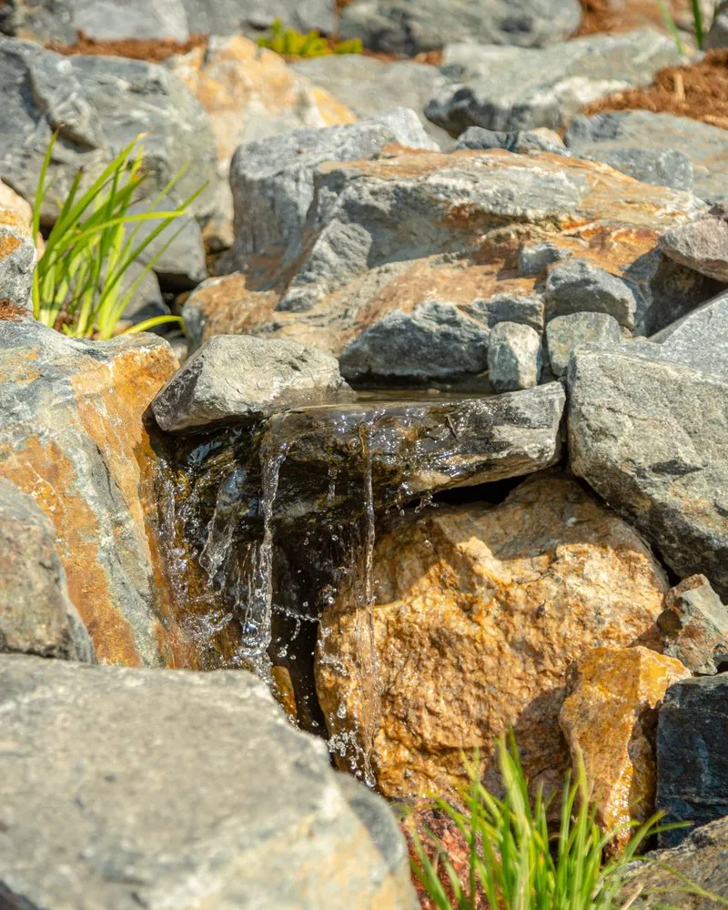 Affordable landscape design for year-round maintenance in Peyton, CO by LCM Landscape & Design