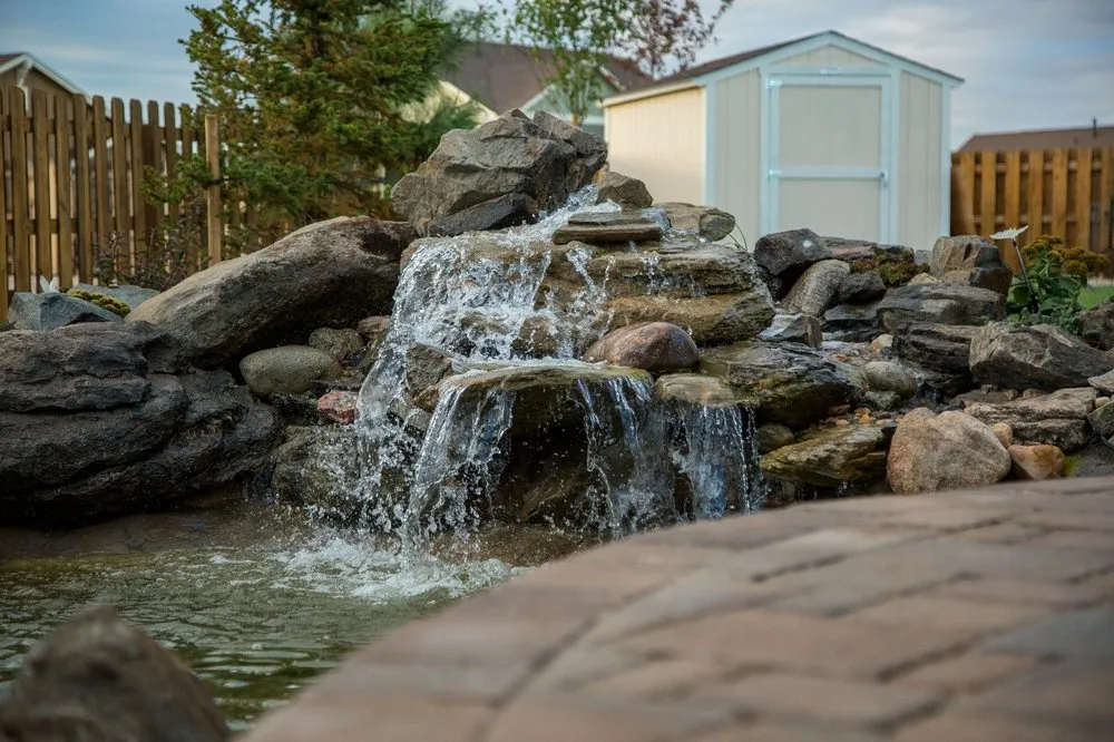 Trusted yard cleanup service for year-round maintenance in Peyton, CO by LCM Landscape & Design