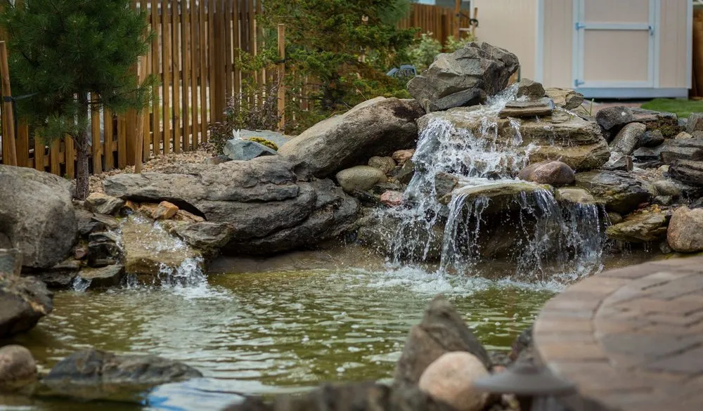 Professional lawn care service for year-round maintenance in Peyton, CO by LCM Landscape & Design