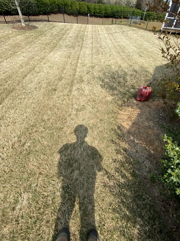 Professional yard cleanup service in Durham, NC by Lcm Landscaping