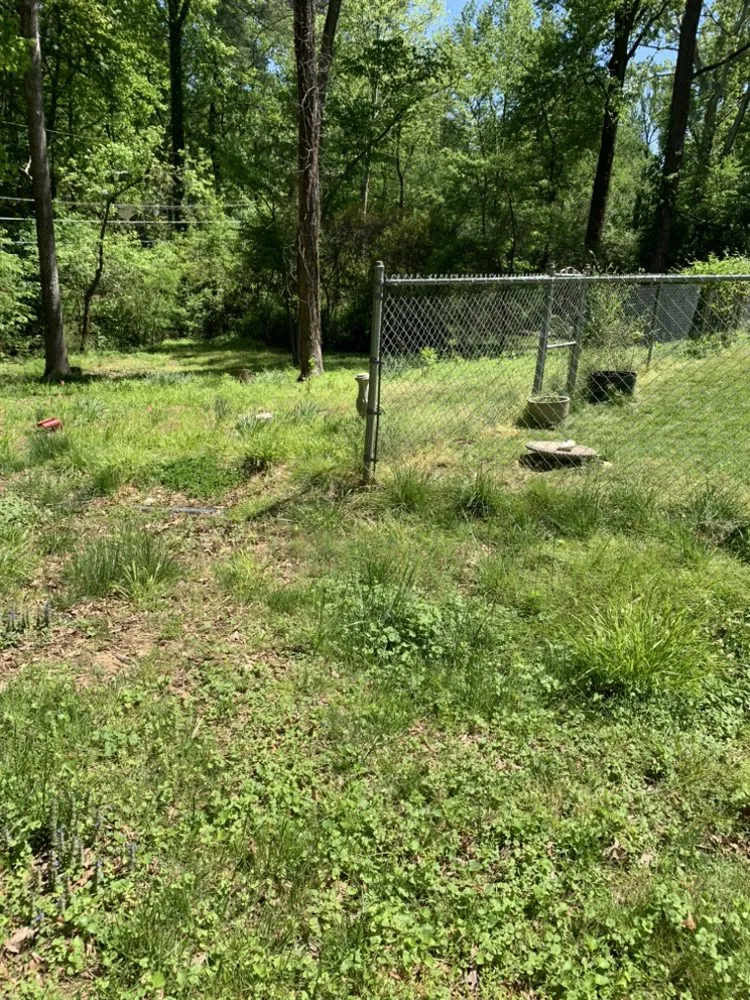 Top-rated landscape design in Durham, NC by Lcm Landscaping