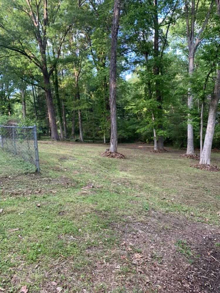 Top-rated residential landscaping for beautiful yards across Durham, NC - Lcm Landscaping