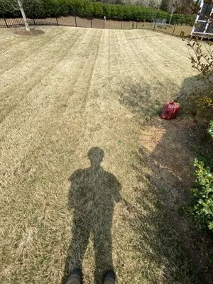 Lcm Landscaping Logo