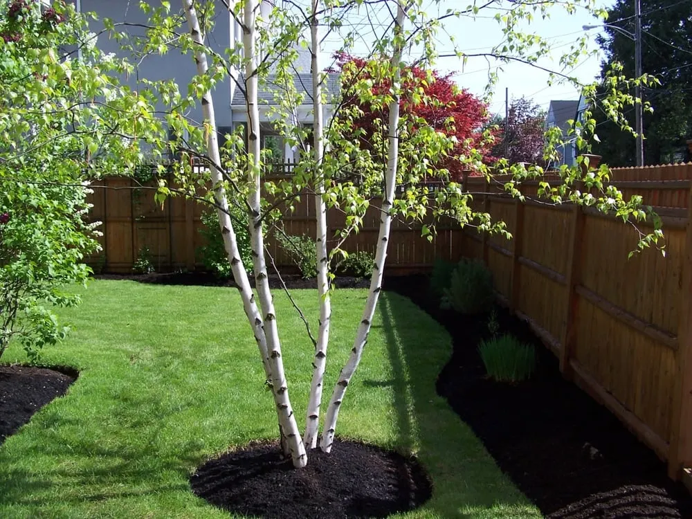 Local garden landscaping in North Reading, MA by LCM Plus