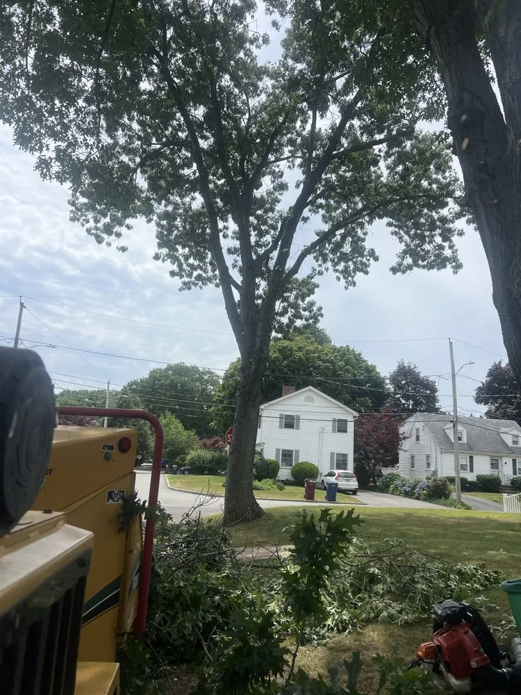 Affordable outdoor landscaping near you across Lynn, MA - LCN Tree Service