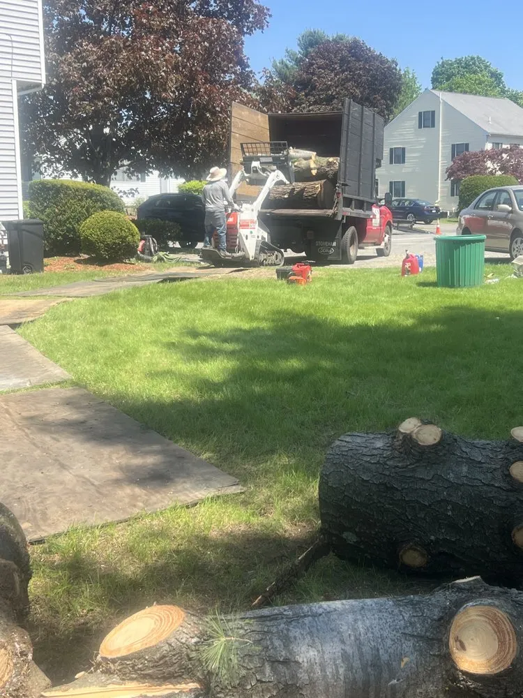 Top-rated residential landscaping near you in Lynn, MA by LCN Tree Service