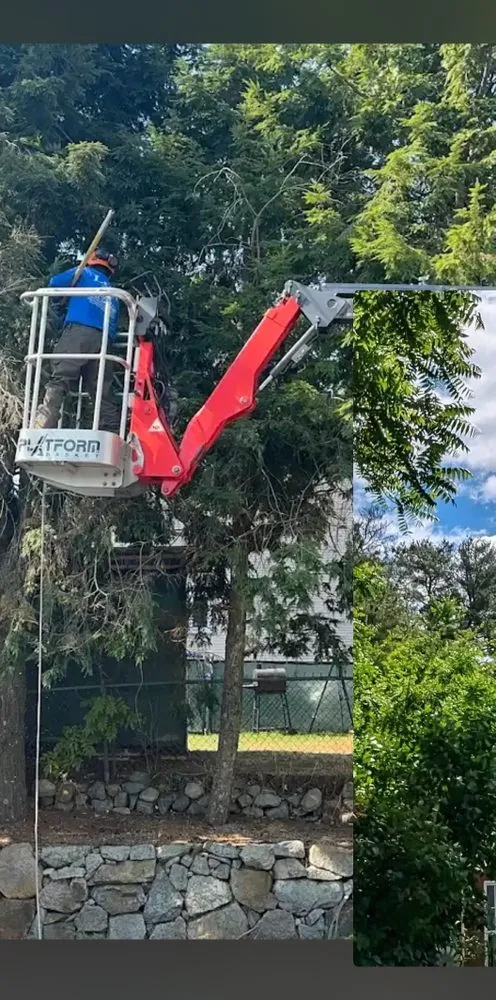 Local lawn mowing service for outdoor upgrades across Lynn, MA - LCN Tree Service