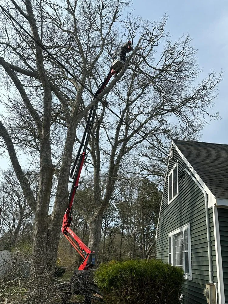 Top-rated landscape design in Lynn, MA by LCN Tree Service