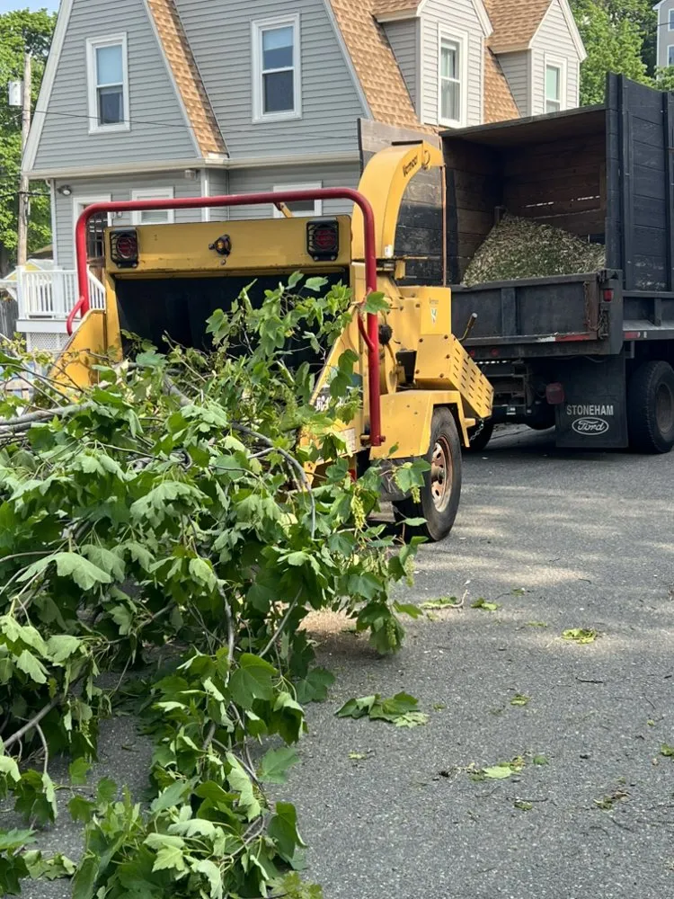 Expert landscape design in Lynn, MA - LCN Tree Service