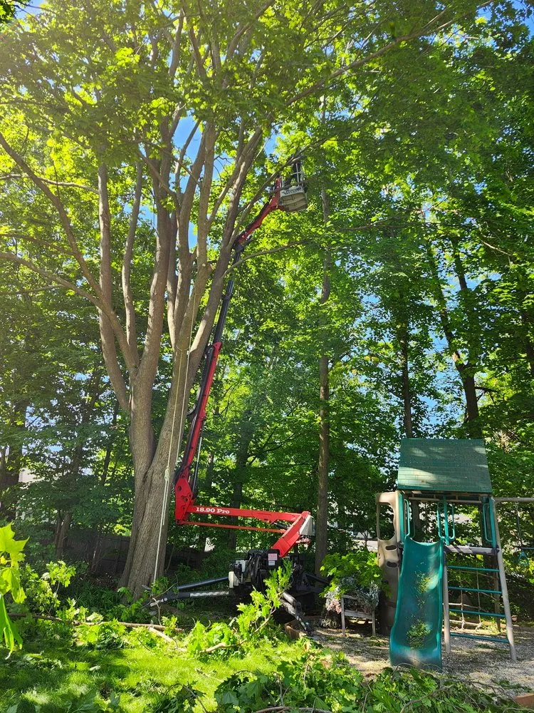 Top-rated landscape installation with custom design in Lynn, MA by LCN Tree Service