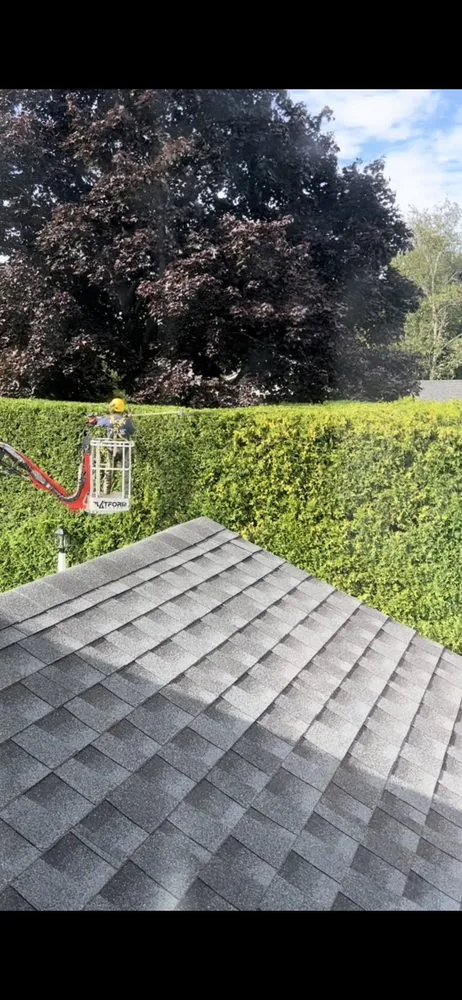 Professional landscape design for residential properties in Lynn, MA by LCN Tree Service