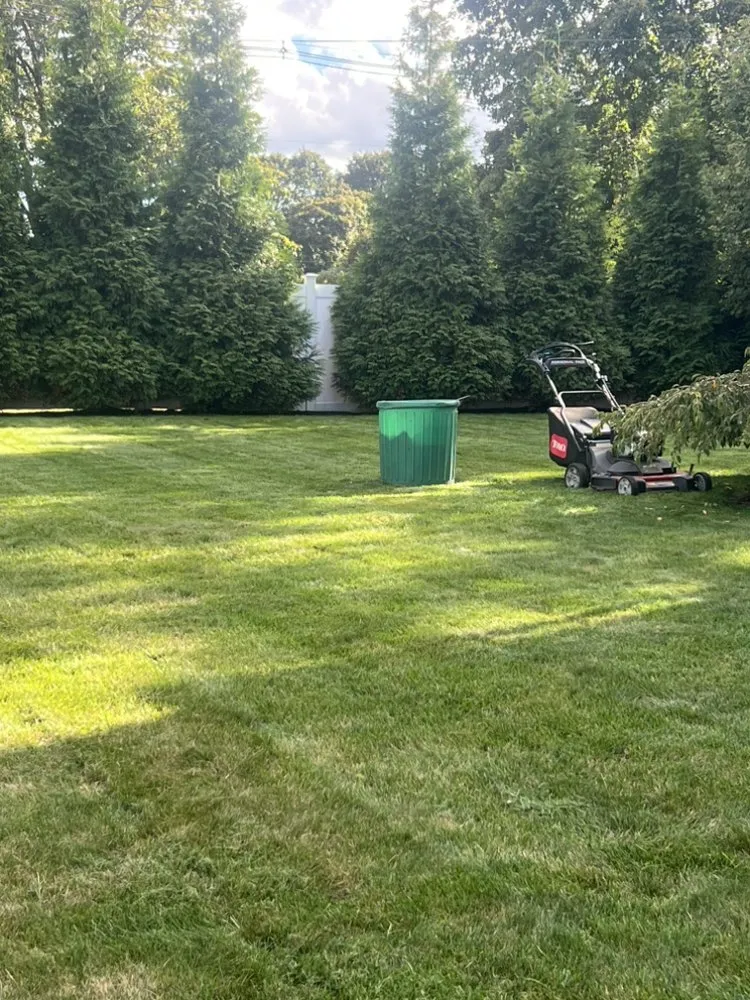 Custom outdoor landscaping in Lynn, MA - LCN Tree Service