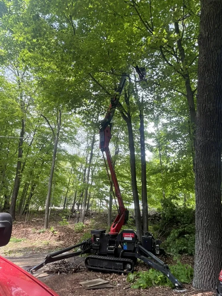 Custom landscape design in Lynn, MA by LCN Tree Service