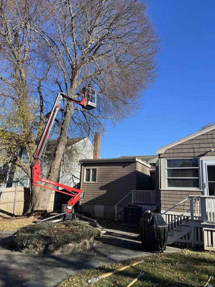 Affordable lawn care service experts serving Lynn, MA - LCN Tree Service