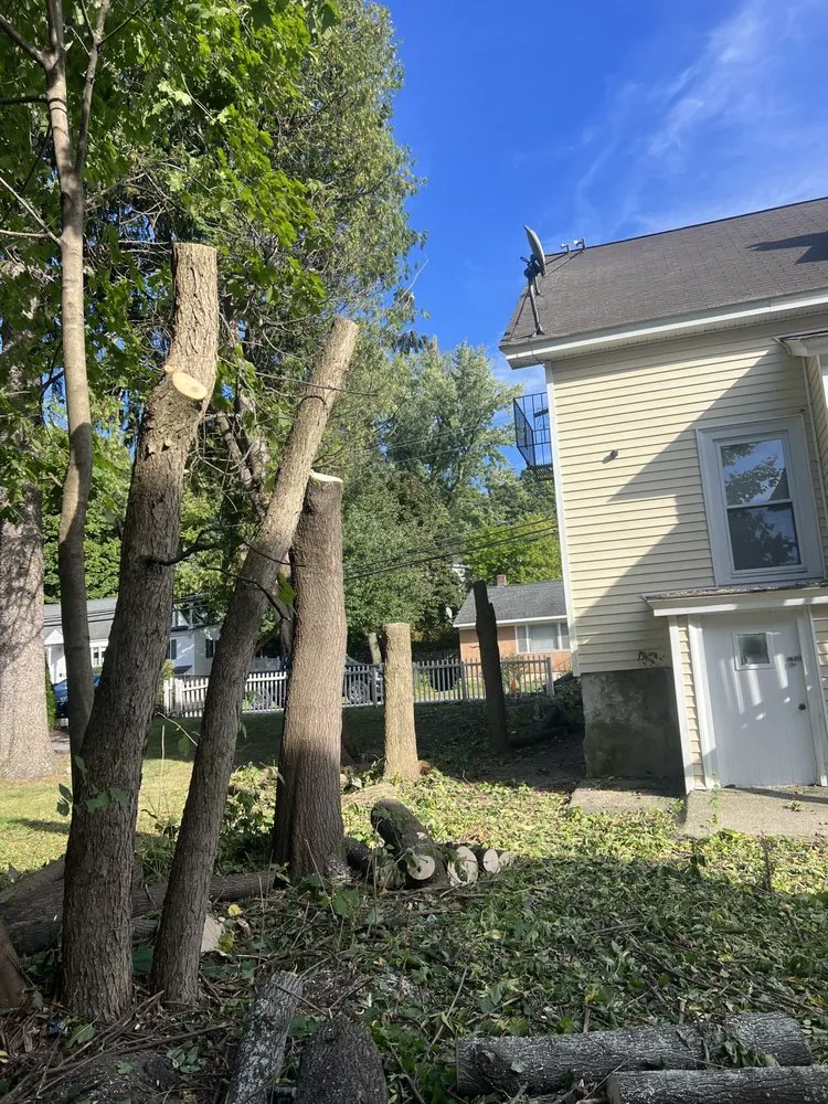 Reliable garden landscaping in Lynn, MA - LCN Tree Service