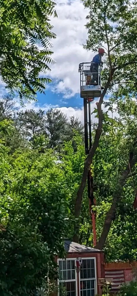 Expert lawn mowing service near you in Lynn, MA by LCN Tree Service